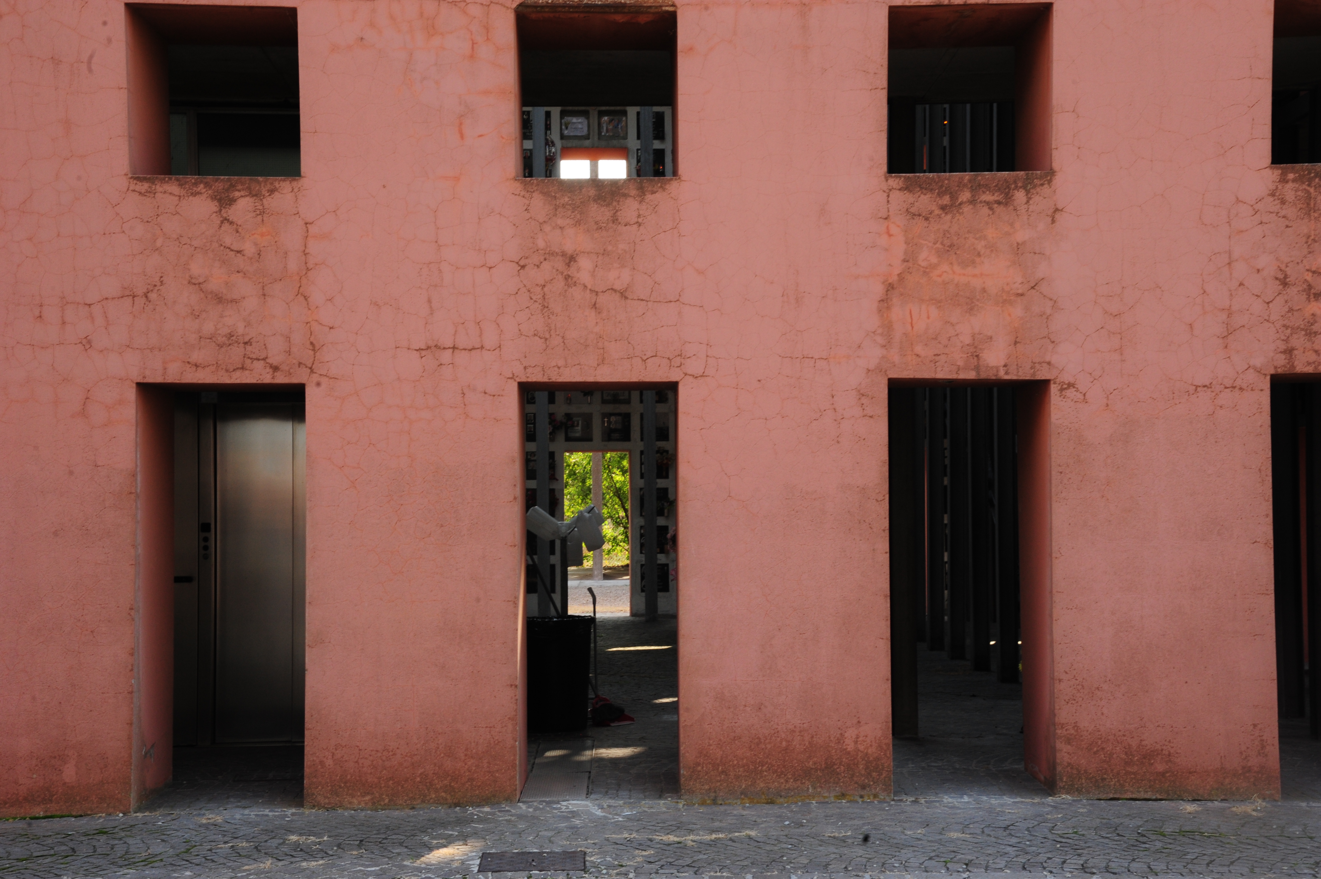 DSC_7979.JPG