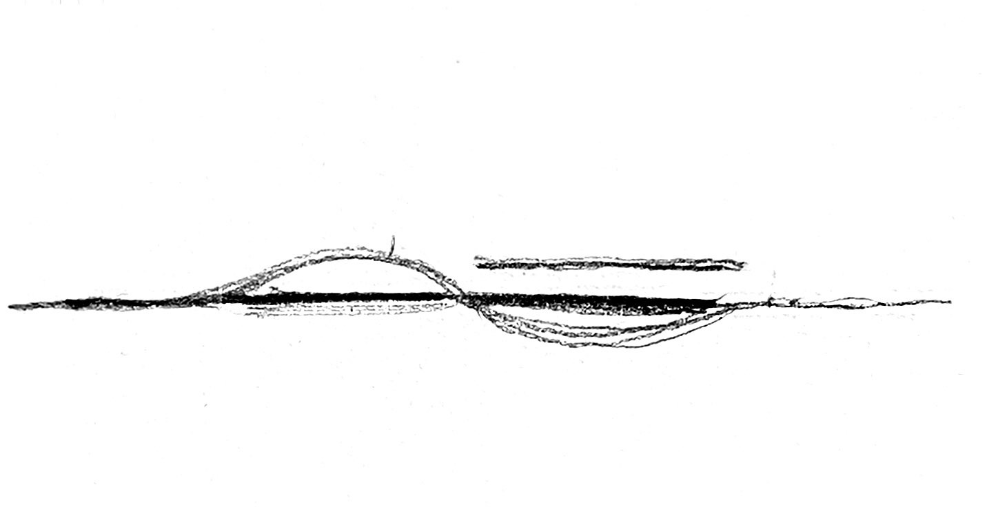 Image_20241108224919.jpg