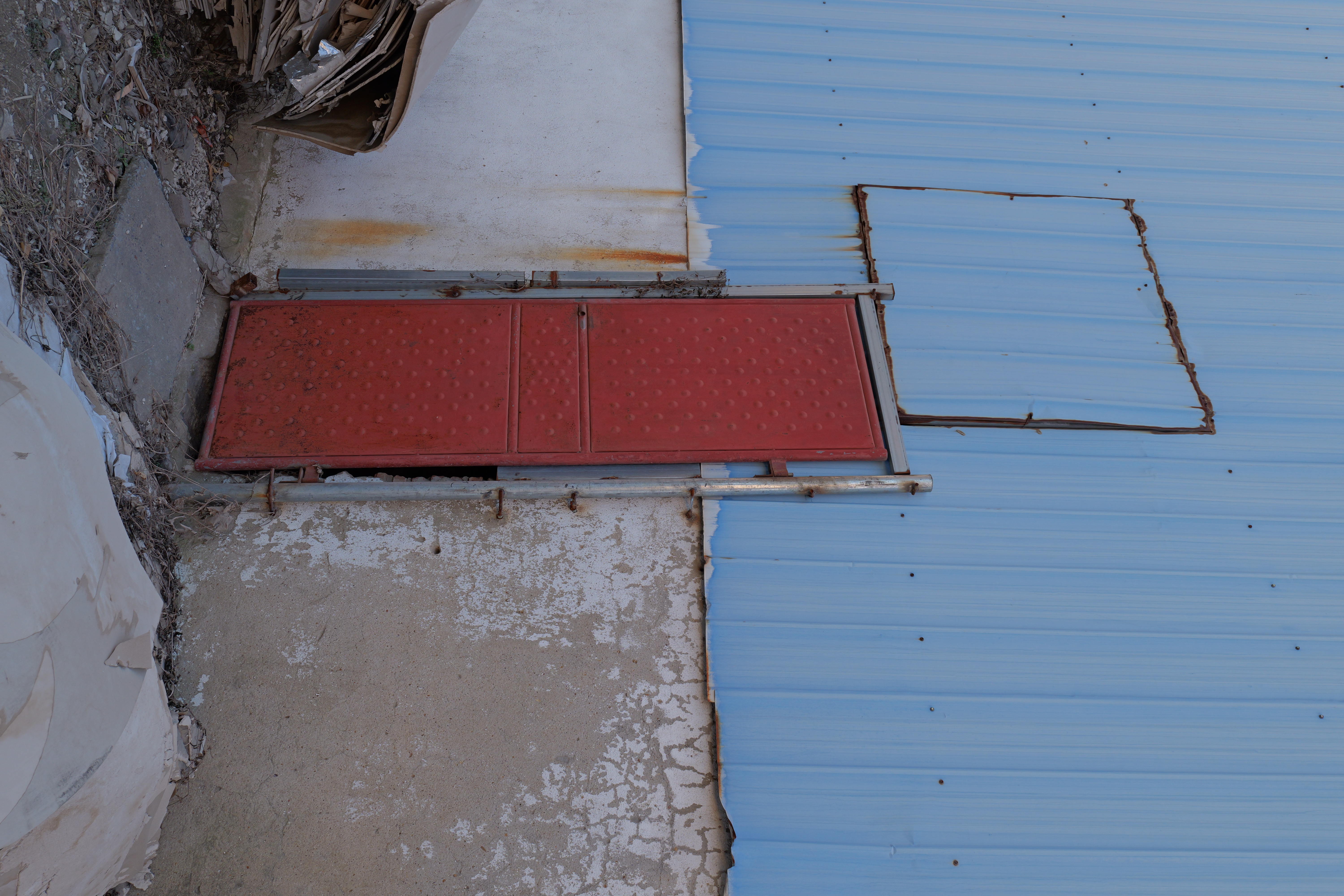 P1094491.JPG