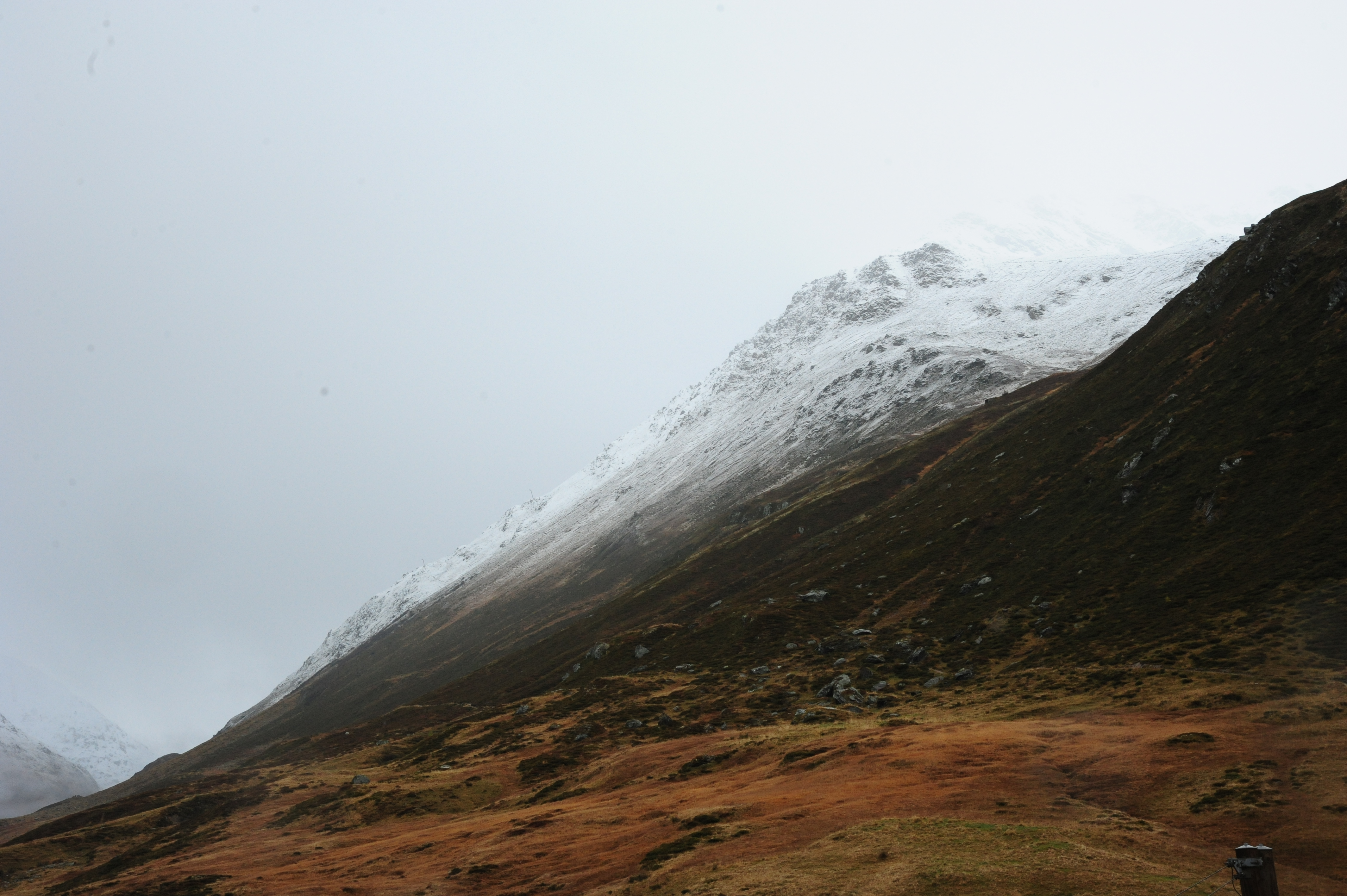 DSC_8643.JPG
