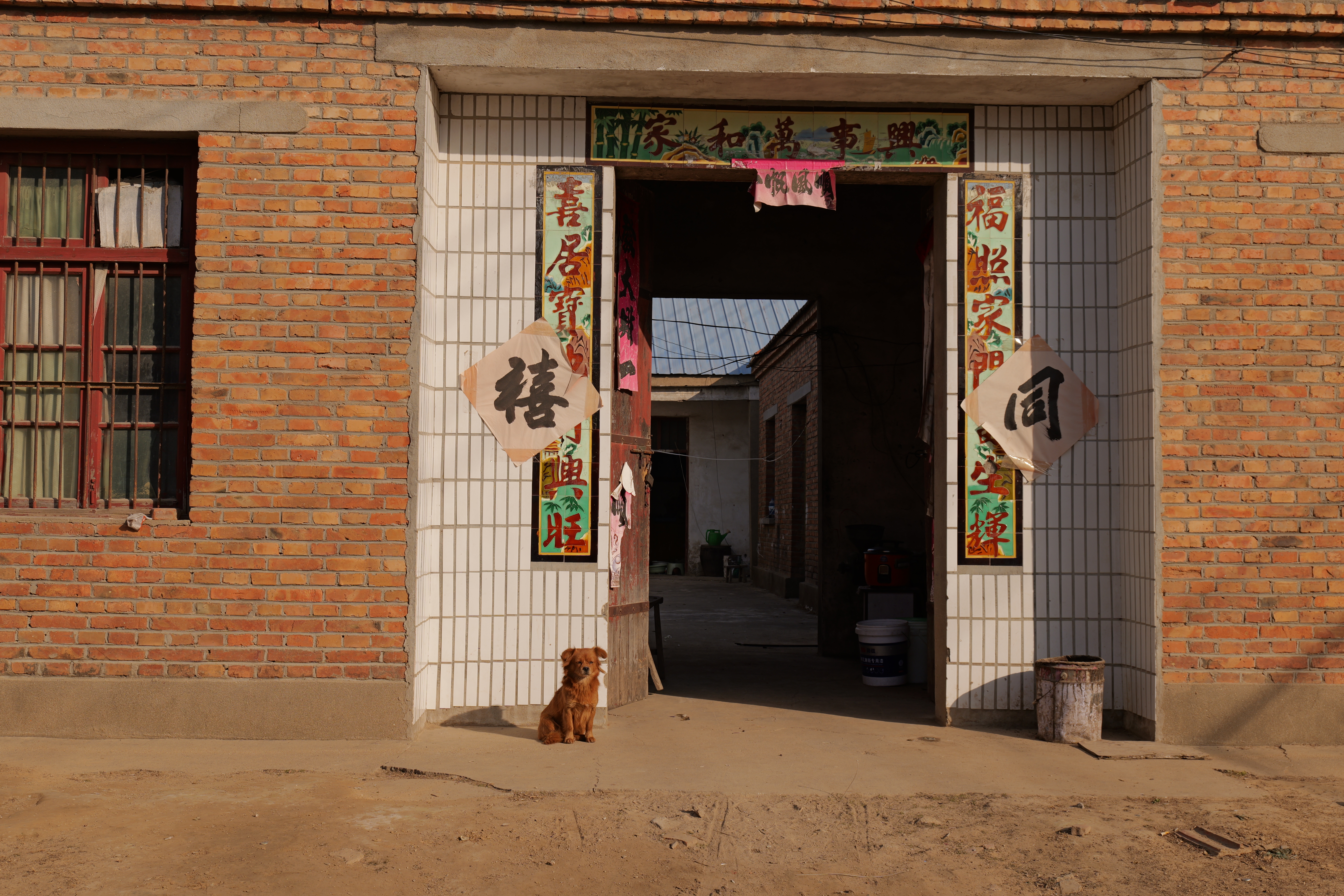 P1094429.JPG